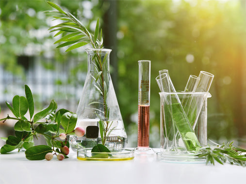 In need of a natural detoxification?