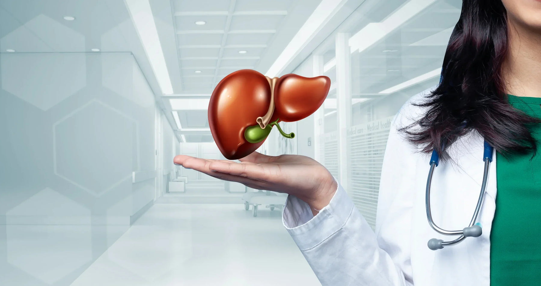 How Alcohol Affects the Liver: Signs, Damage and Recovery