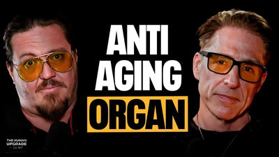 Here’s How to Get the ULTIMATE Liver (And Why It Will Change Your Life!) Siggi Clavien.